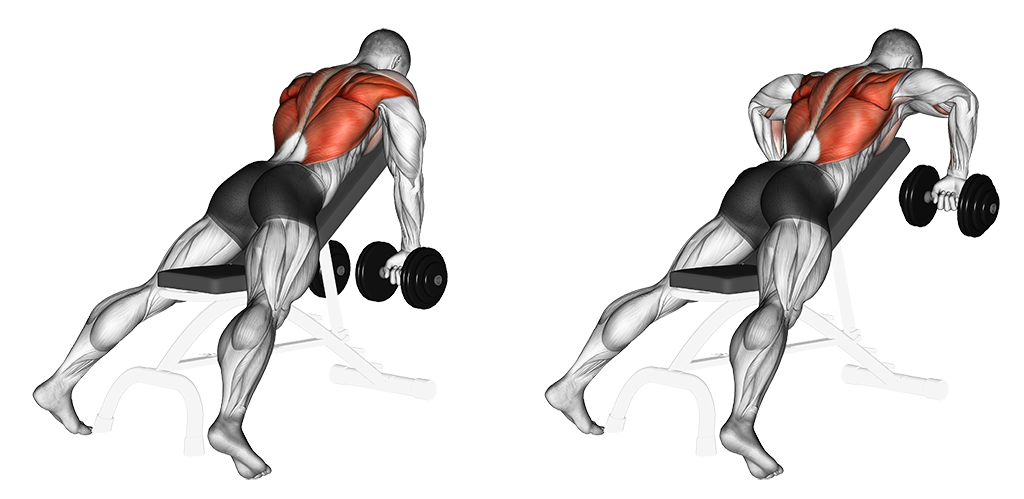 Dumbbell Incline Row