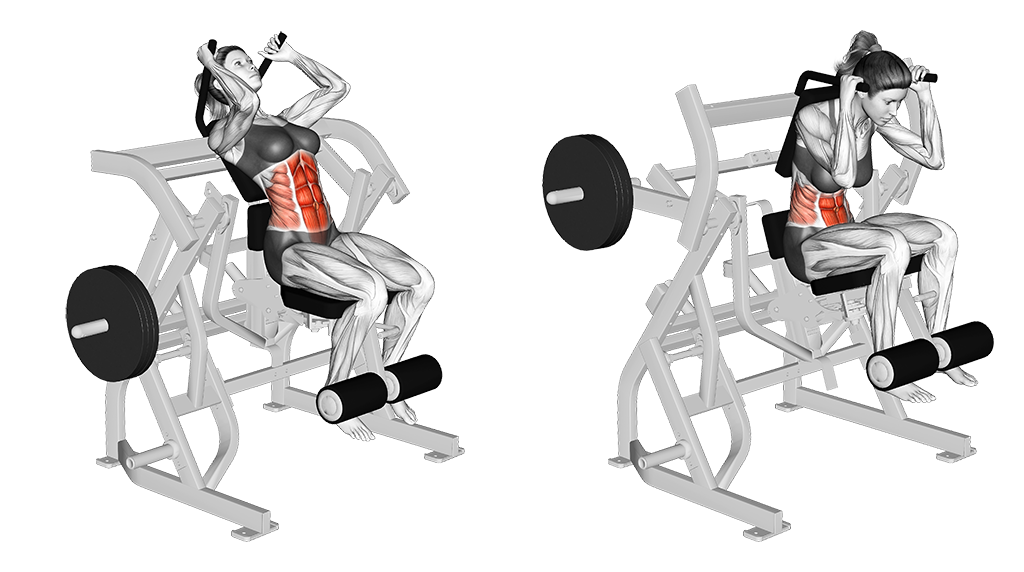 Machine Seated Leg Raise Crunch