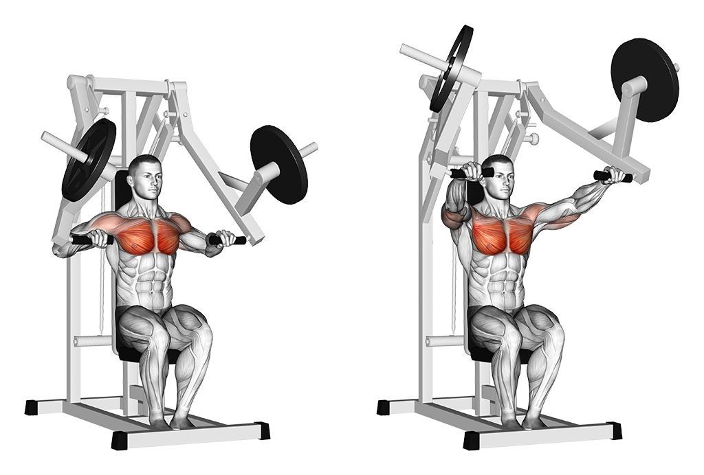 Plate Loaded Seated Chest Press
