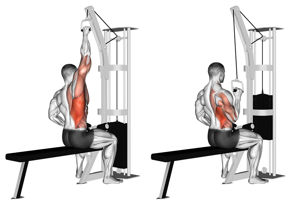 Cable One-Arm Lat Pulldown
