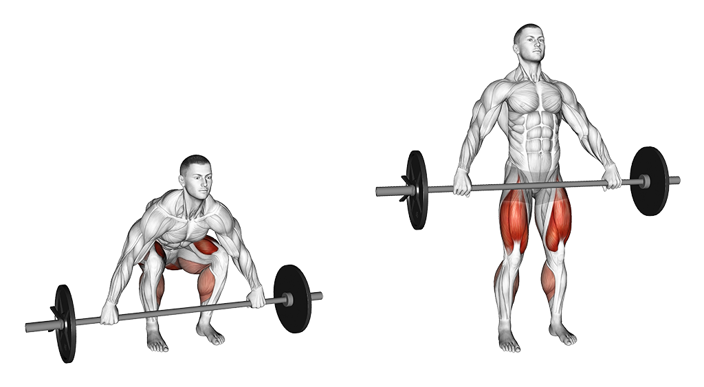 Barbell Snatch Grip Deadlift