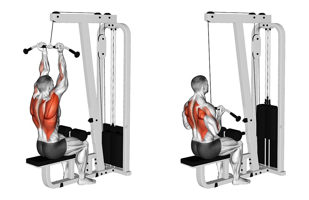 Cable Lat Pulldown (Reverse-Grip)