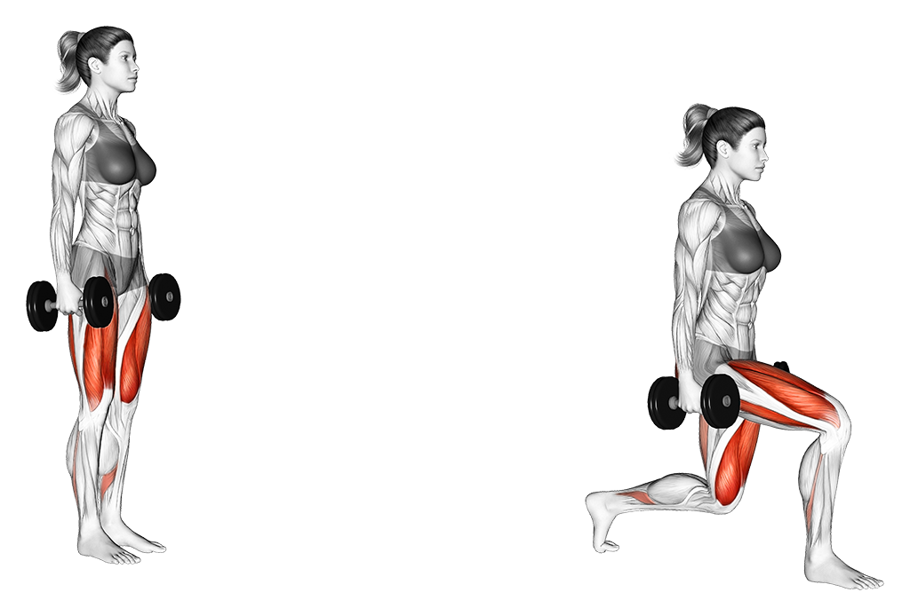 Dumbbell Reverse Lunge