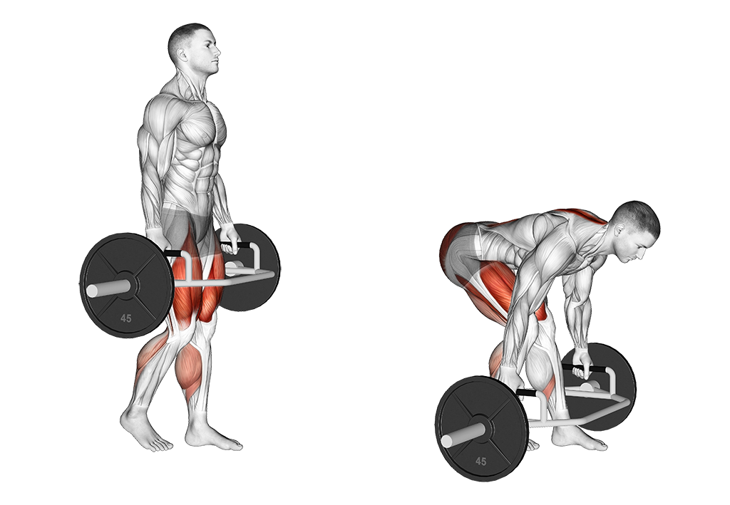 Trap Bar Split Stance Romanian Deadlift