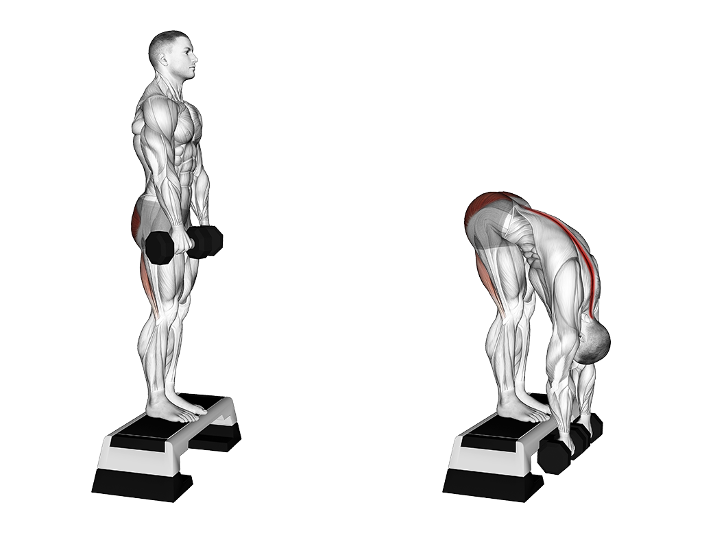 Dumbbell Jefferson Curl
