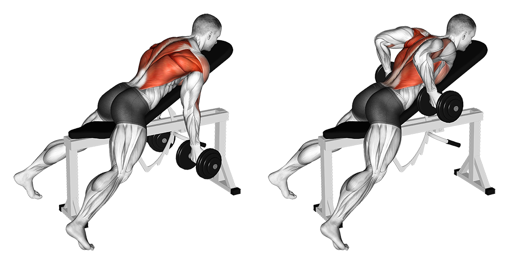 Dumbbell Lying Rear Delt Row