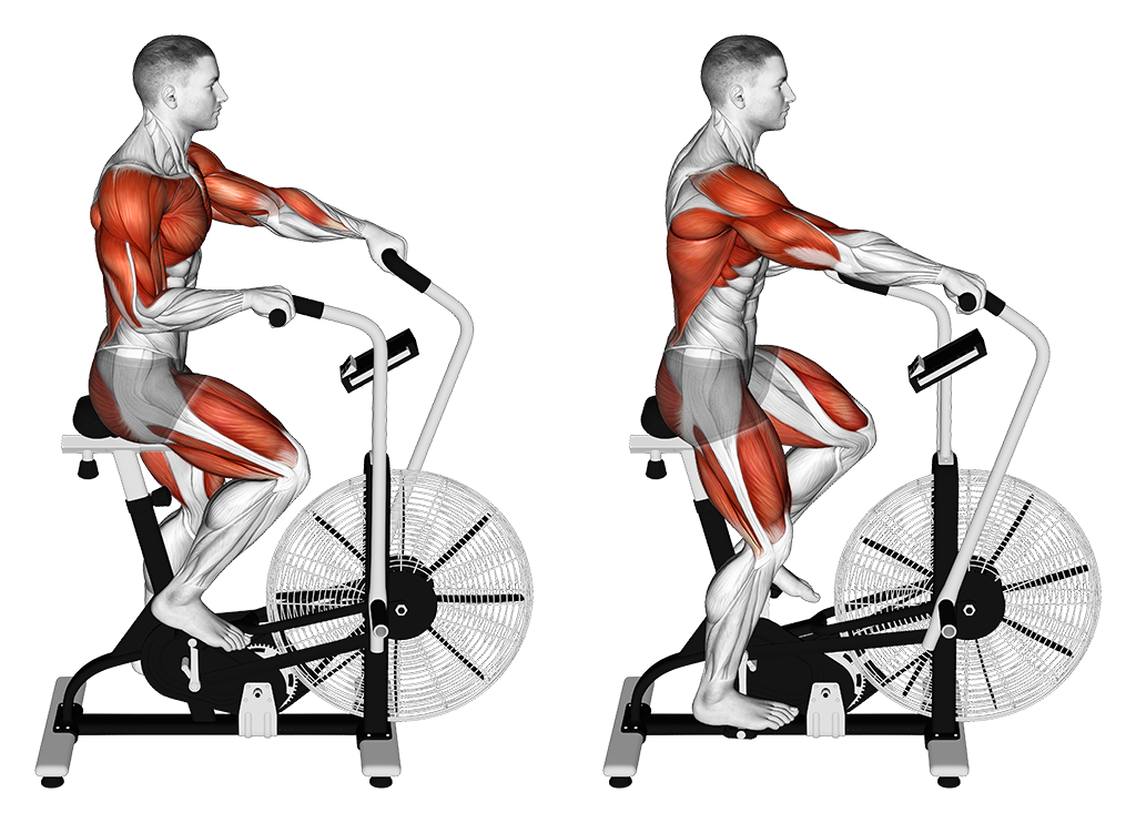Air Bike (Cycle Cross Trainer)