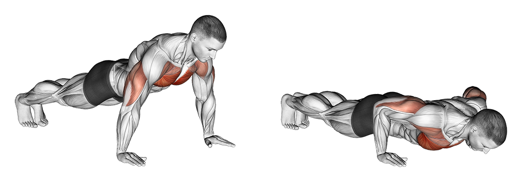 Push-Up