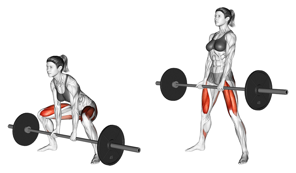Barbell Sumo Deadlift