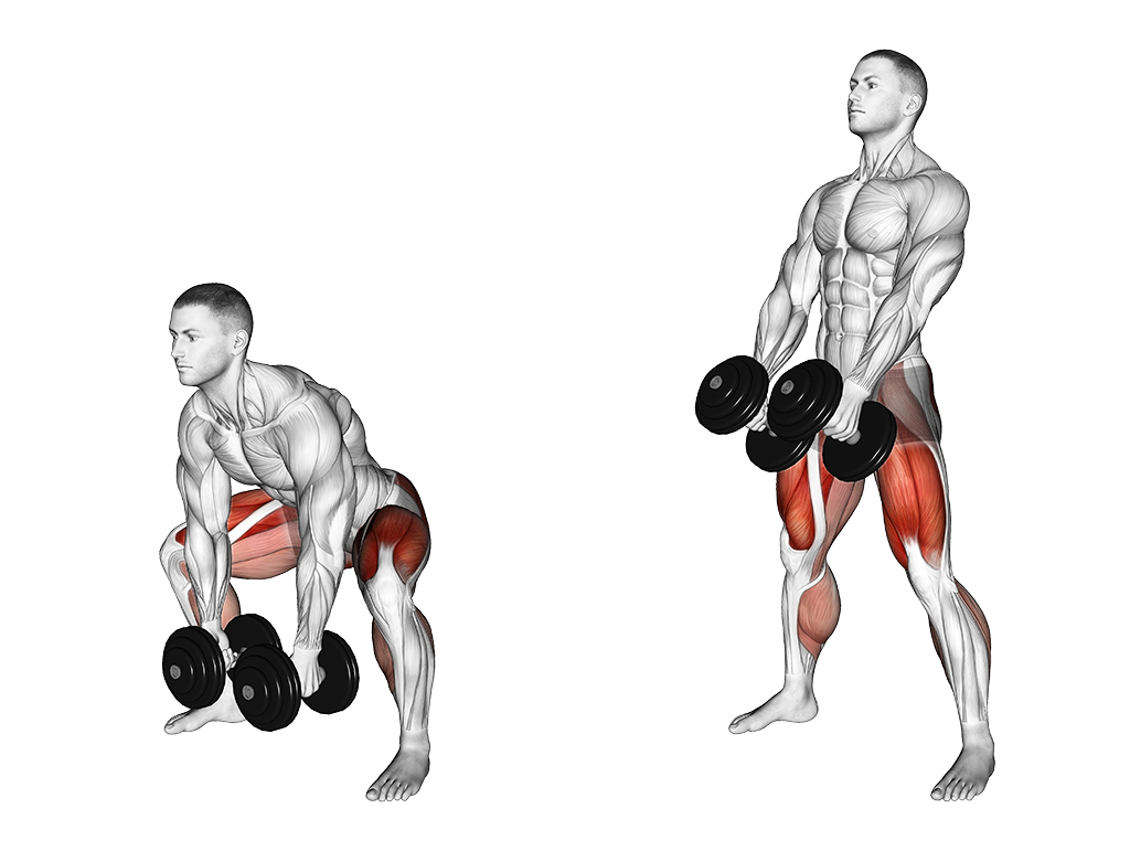 Dumbbell Sumo Deadlift