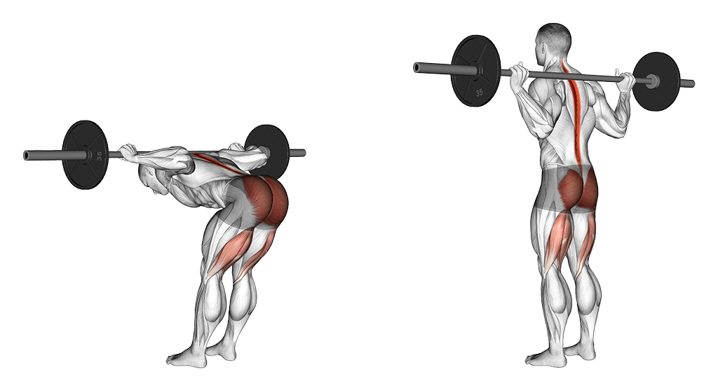 Barbell Good Morning