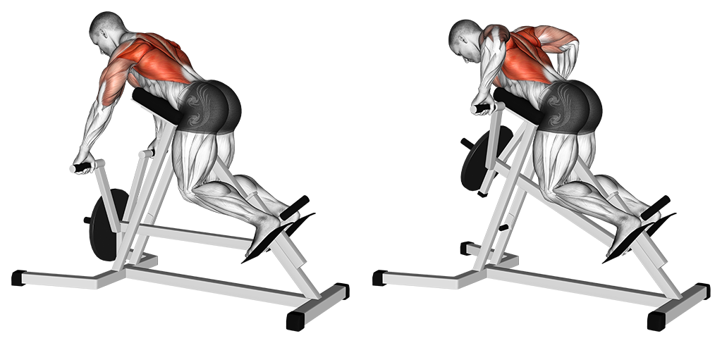 Chest-Supported T-Bar Row