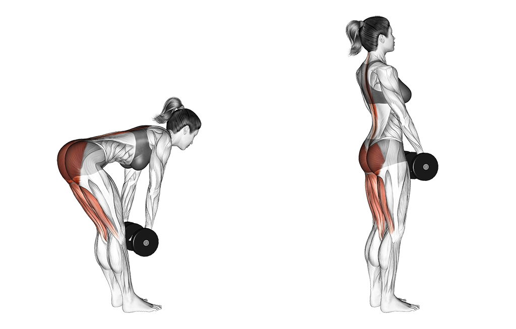 Dumbbell Stiff-Leg Deadlift