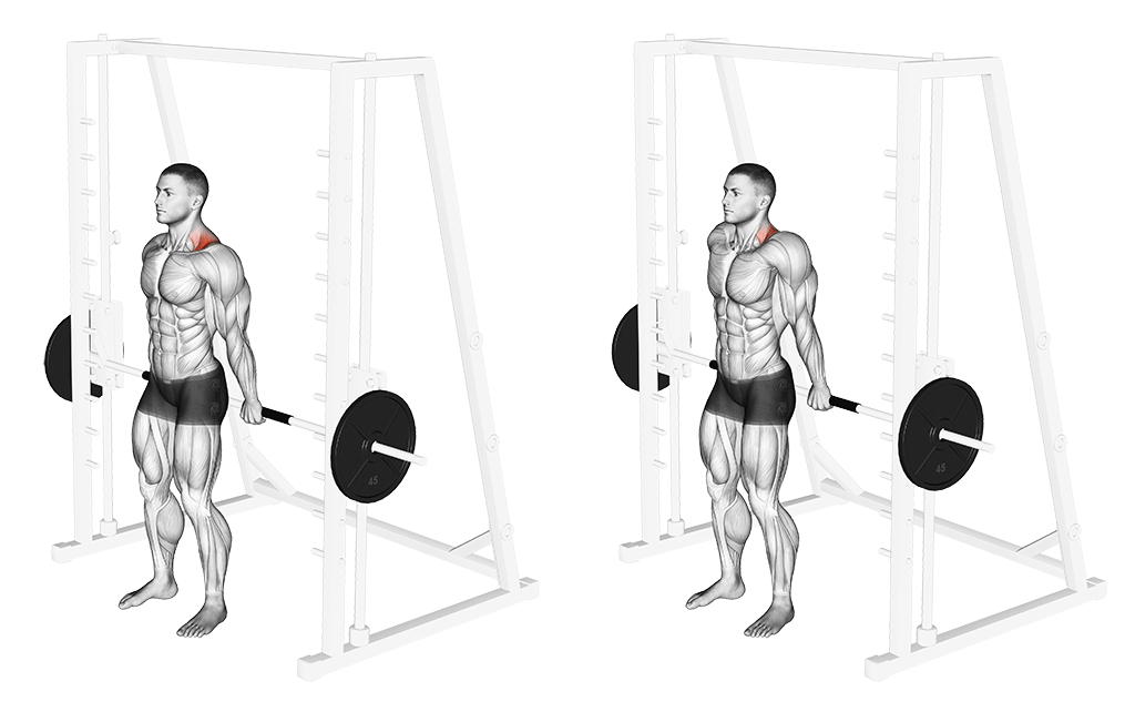 Smith Machine Back Shrug