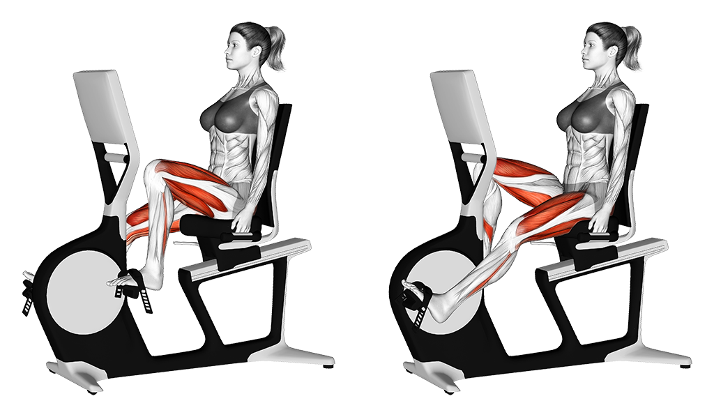Recumbent Bike