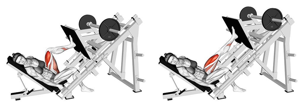 Machine Single-Leg Press