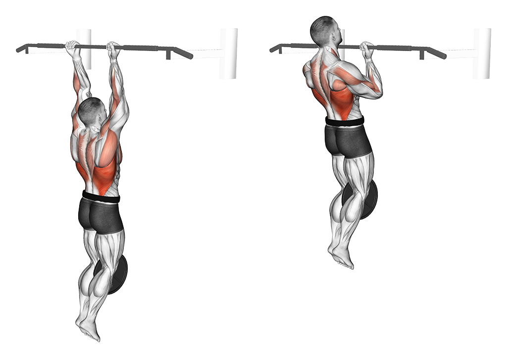 Weighted Chin-Up