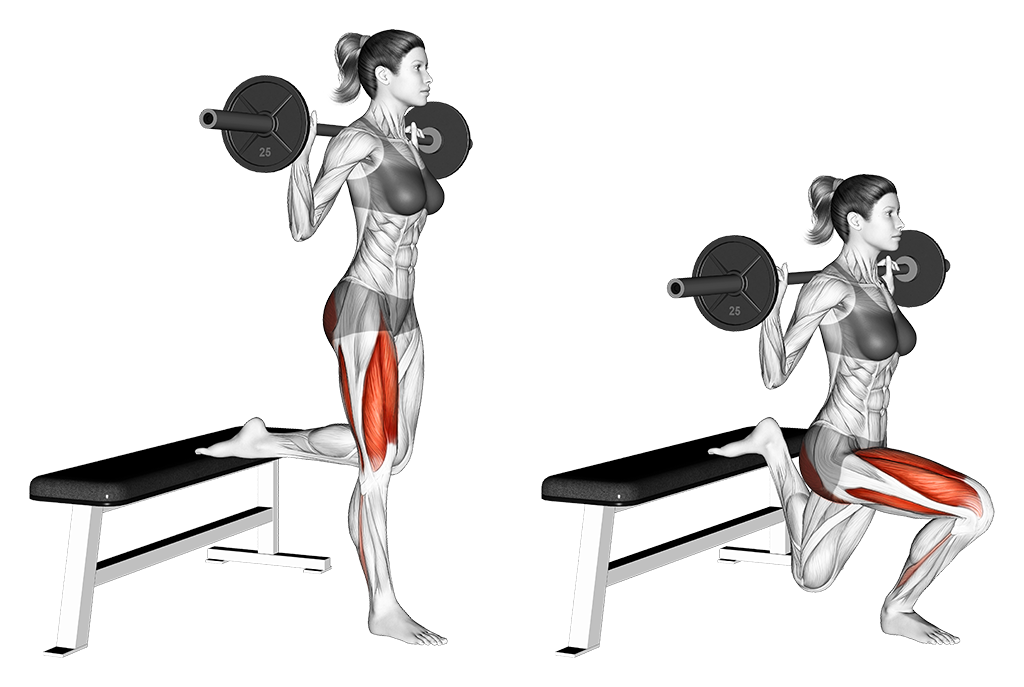 Barbell Split Squat