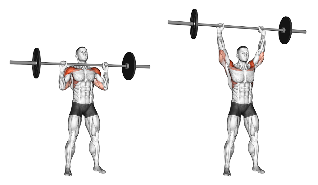 Barbell Standing Military Press (Without Rack)