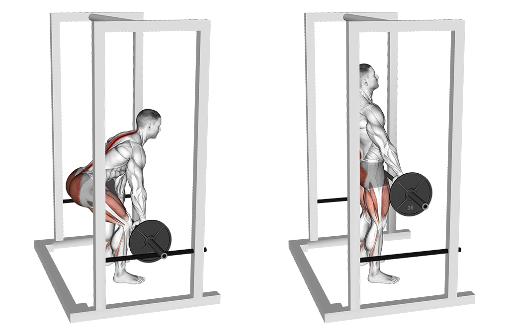 Barbell Rack Pull
