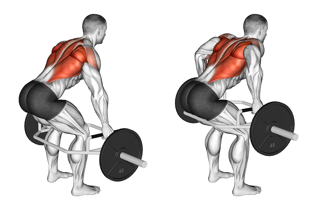 Trap Bar Bent-Over Row