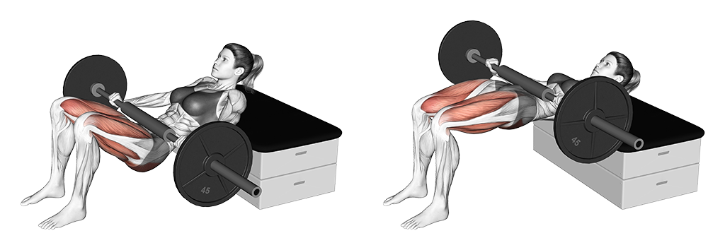 Barbell KAS Glute Bridge