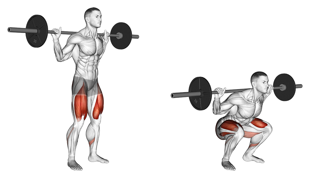 Barbell Back Squat (Low Bar)