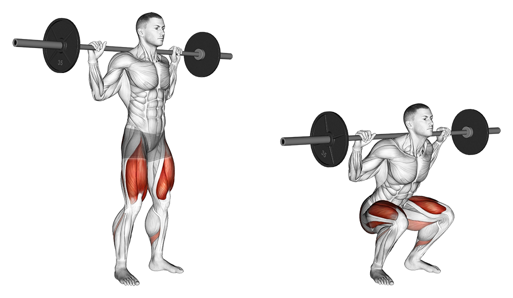 Barbell Back Squat (High Bar)