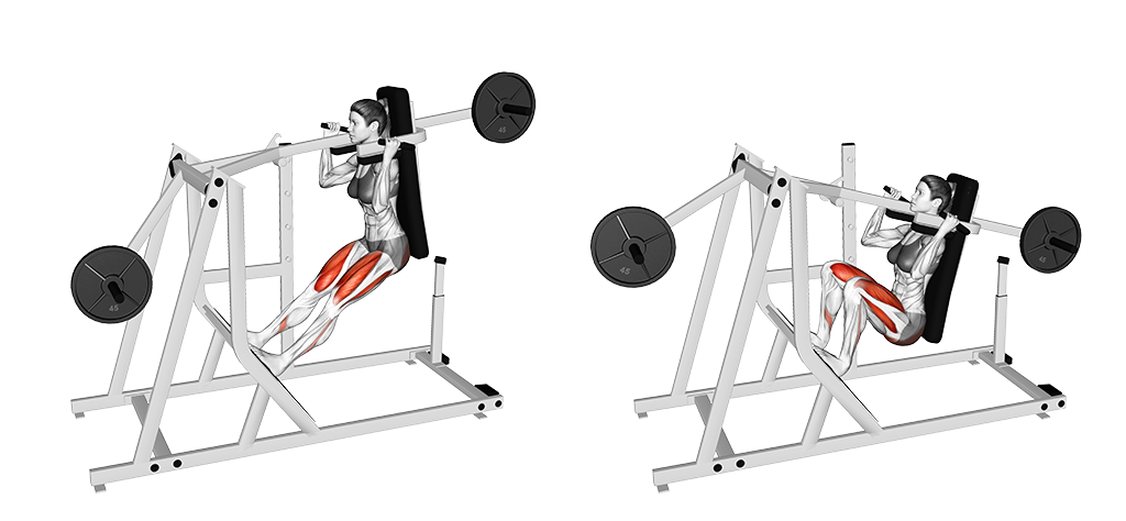 Machine Pendulum Squat