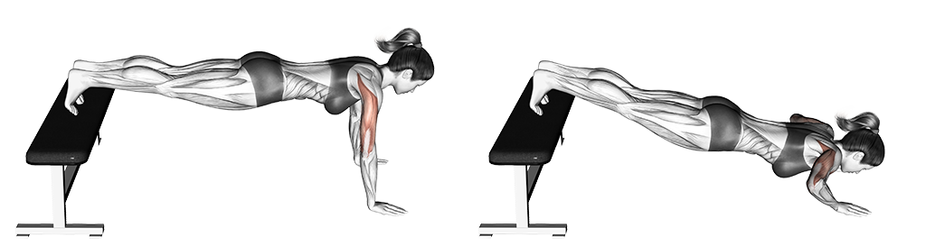Push-Up (Decline)