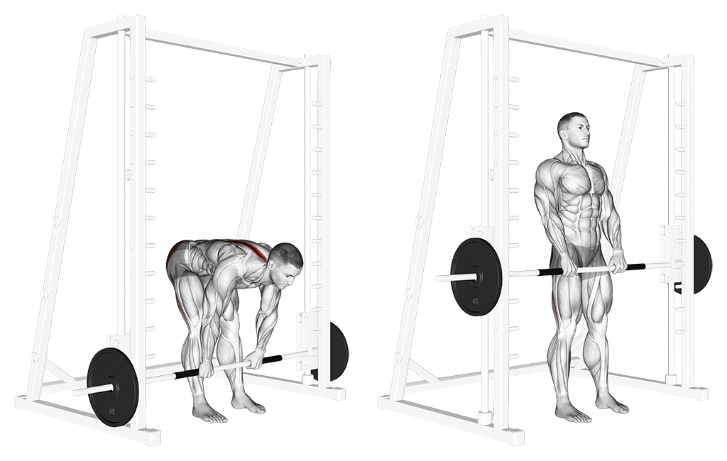Smith Machine Stiff-Leg Deadlift