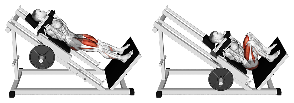 Machine Hack Squat