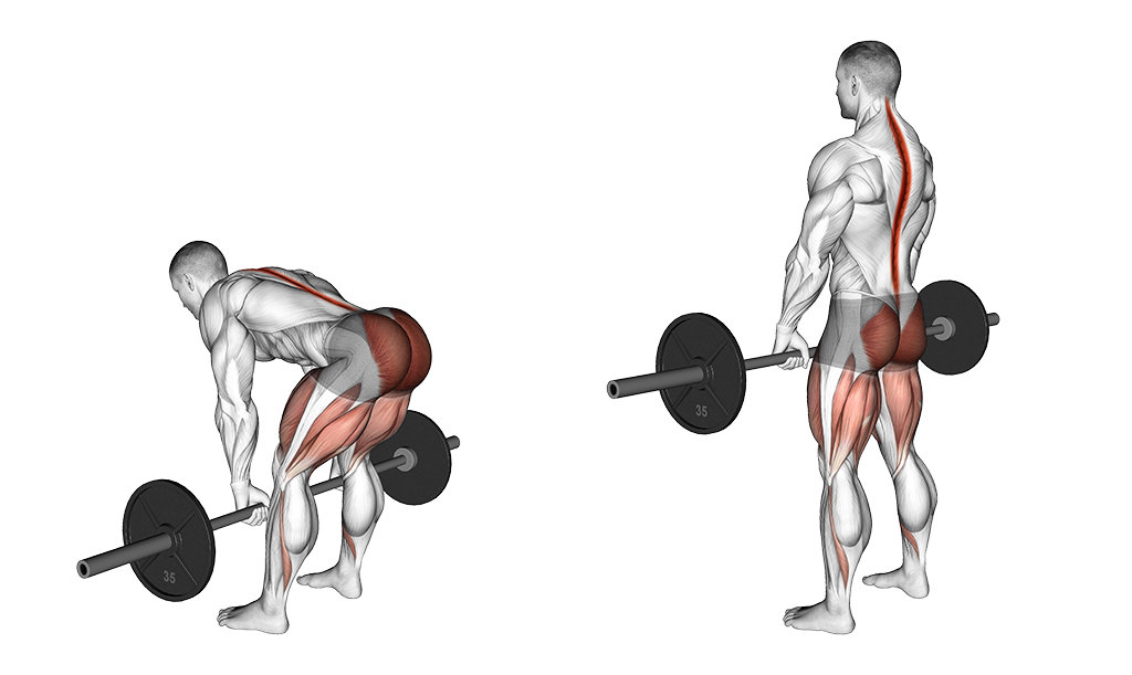 Barbell Romanian Deadlift