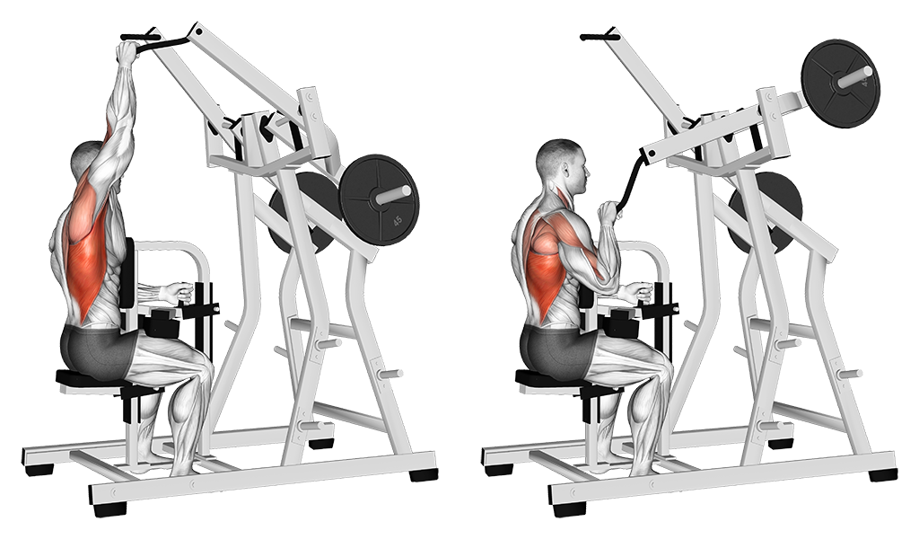 Machine One-Arm Lat Pulldown
