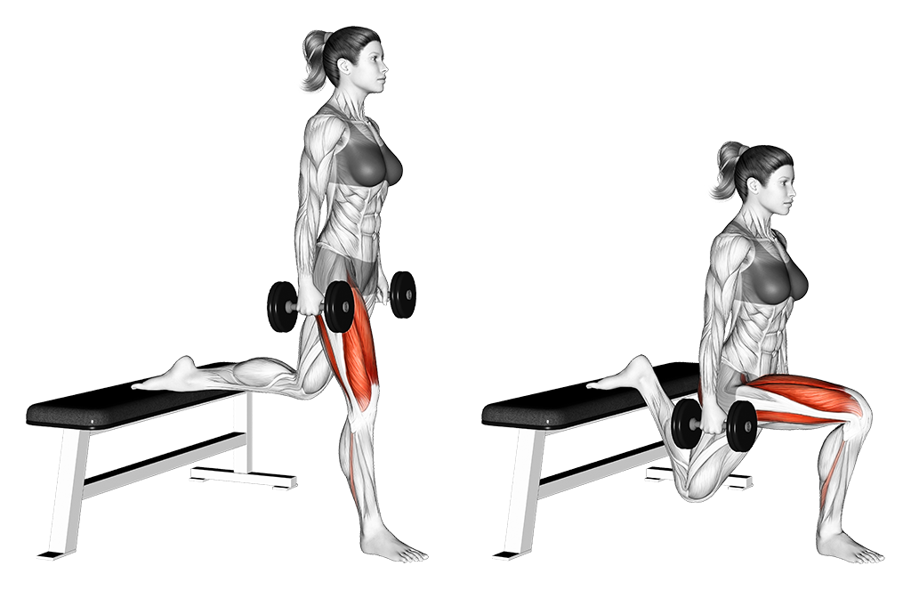 Dumbbell Bulgarian Split Squat