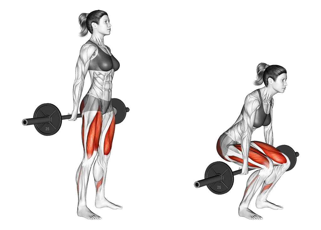 Barbell Hack Squat