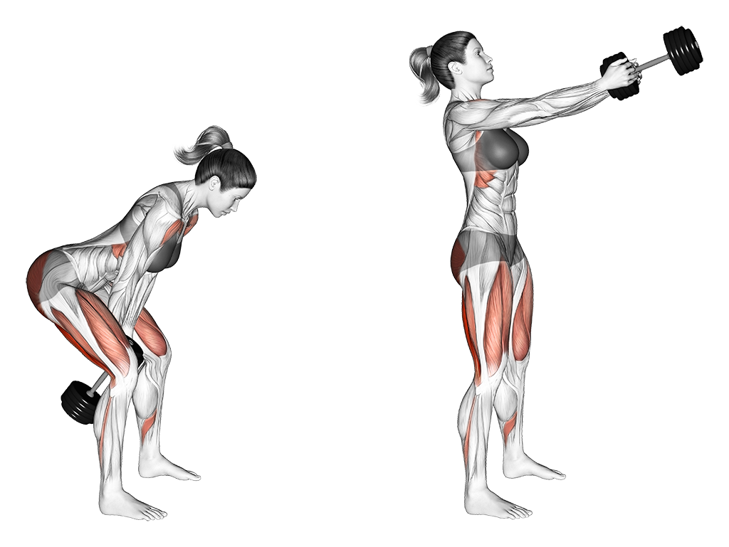 Dumbbell Swing