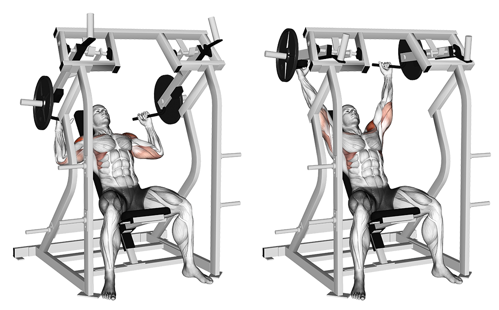 Plate Loaded Shoulder Press